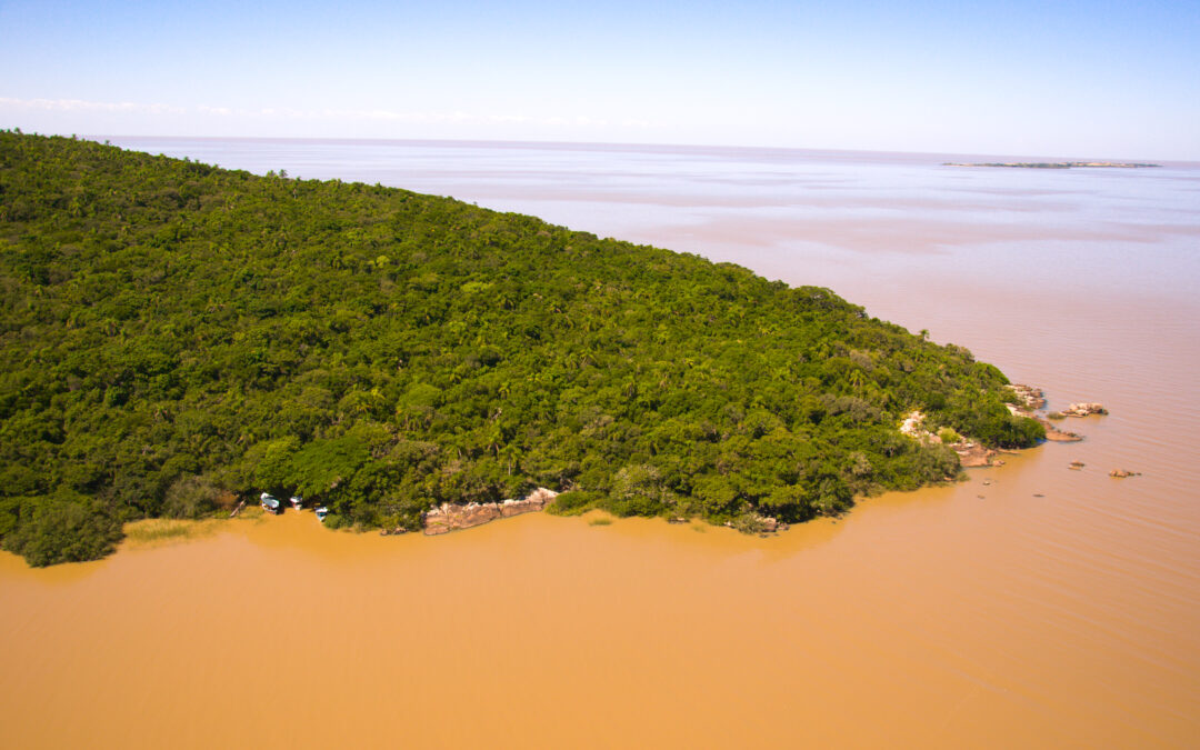 CMPC reforça seu compromisso com a restauração de ecossistemas brasileiros e celebra metas de sustentabilidade
