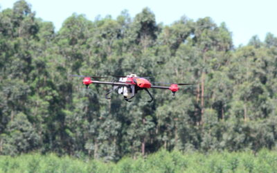 CMPC amplia manejo integrado de pragas com uso de controle biológico